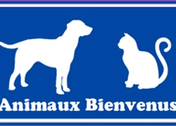 T2 Cabine-superbe Vue Et Acces Direct Proche Commerces-6at28 Saint-Cyprien (Pyrenees-Orientales)